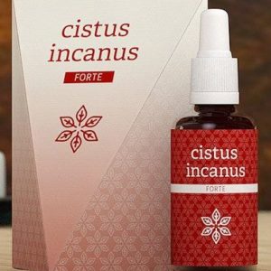 Cistus Incanus